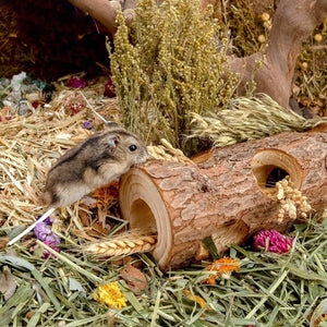 Premium Solid Wood Hamster Tunnel - Natural and Durable Chew Toy