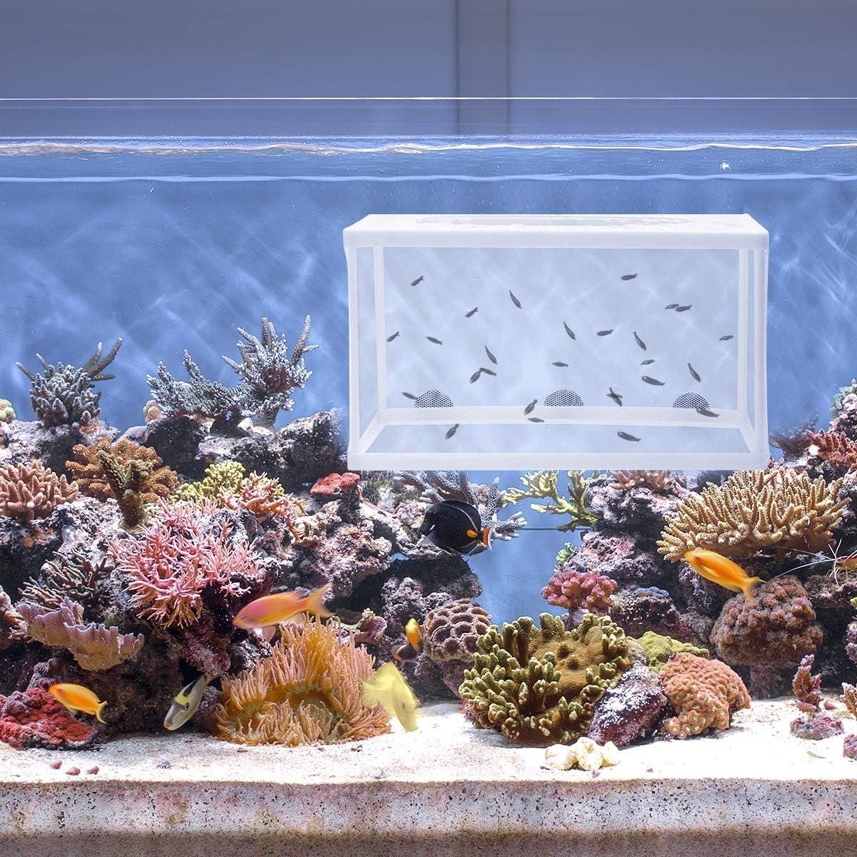 Durable Fish Fry Breeder Box for Aquariums Secure Juvenile Isolation