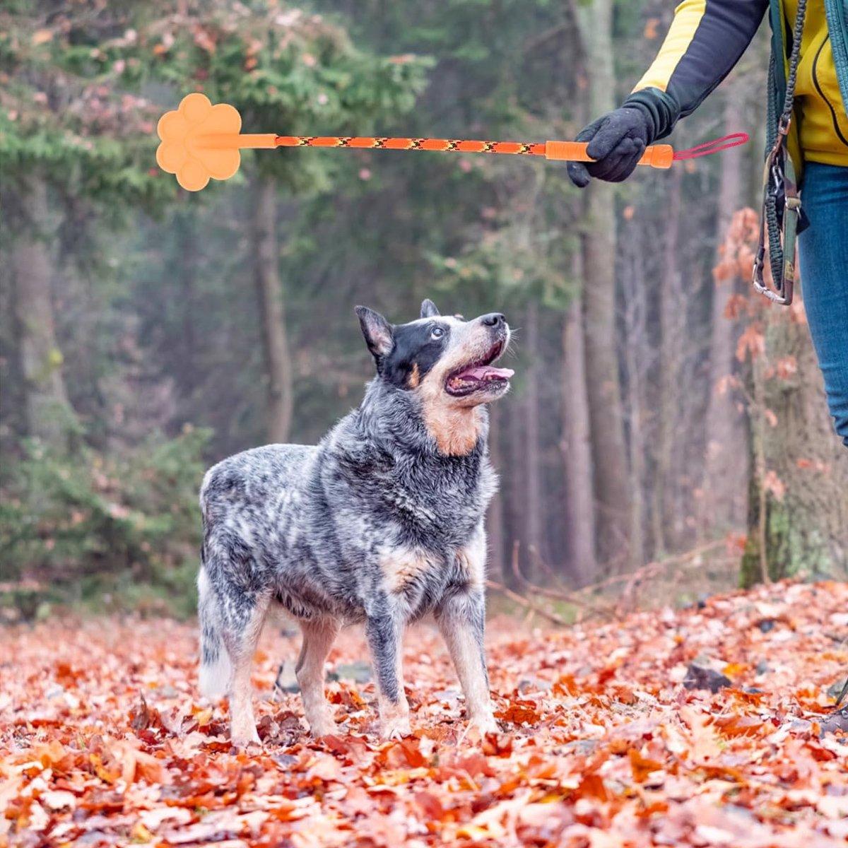 2PCS Soft Dog Training Stick Flexible Pet Training Tool