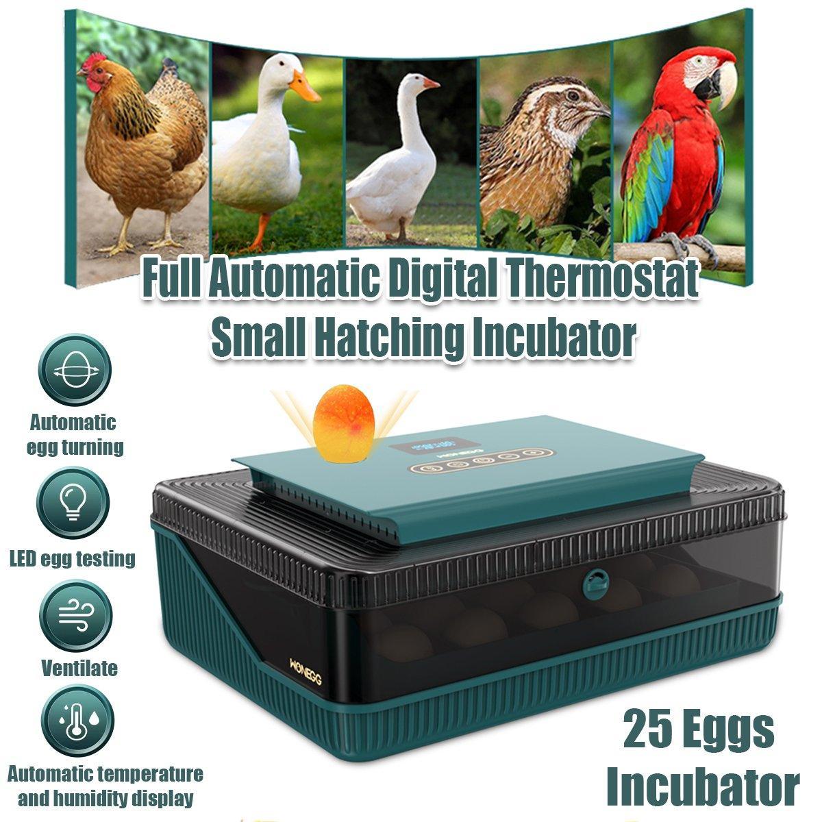 Fully Automatic Chicken Incubator with LED Display