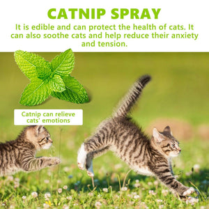 Catnip Spray Relieve Cats' Anxiousness Enhance Pet Vitality Health Care Spray