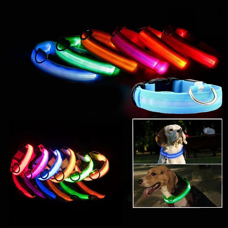 USB Rechargeable Light Up Dog Collar Glow in the Dark Safety for Night Walks