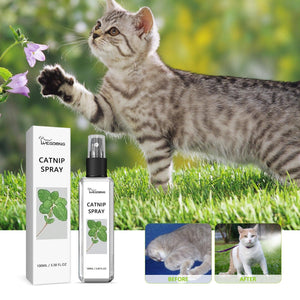 Catnip Spray Relieve Cats' Anxiousness Enhance Pet Vitality Health Care Spray