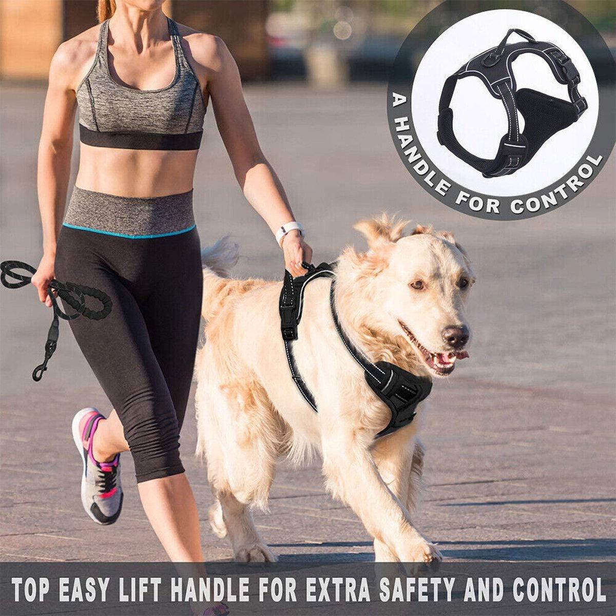 Adjustable No-Pull Dog Harness for Safe & Comfortable Walks S-XL