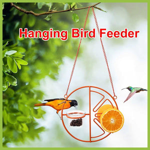 Hummingbird Feeding Bracket Outdoor Indoor Bird Feeder A Hummingbird Feeding Water