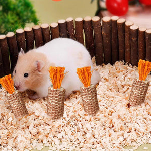 10pcs Colorful Chew-Friendly Hamster Toys for Dental Health