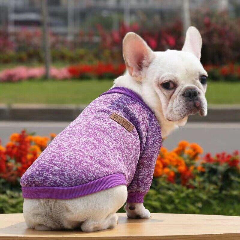 Cute Pet Dog Winter Sweater Warm Knitwear for Puppy and Cat Coat