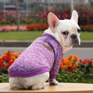 Cute Pet Dog Winter Sweater Warm Knitwear for Puppy and Cat Coat