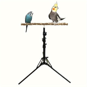 Adjustable Bird Perch Stand Foldable Training & Play Stand for Parrots & Birds