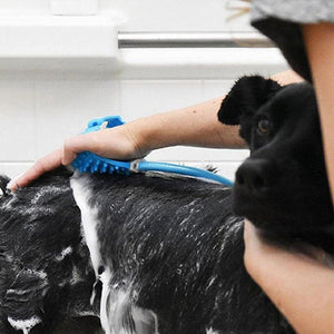 Dog Bath Pet Shower Nozzle Silicone Massage Brush