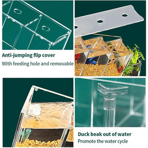 Compact Multi-Cell Desktop Fish Tank with Filtration System