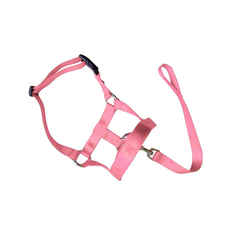 Dog Training Head Collar Halter Stop Pulling Training Tool Harness