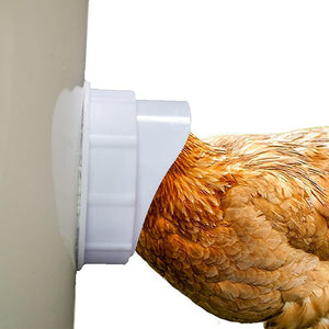 Easy-to-Assemble Weatherproof Chicken Feeder with Gravity-Feed Mechanism