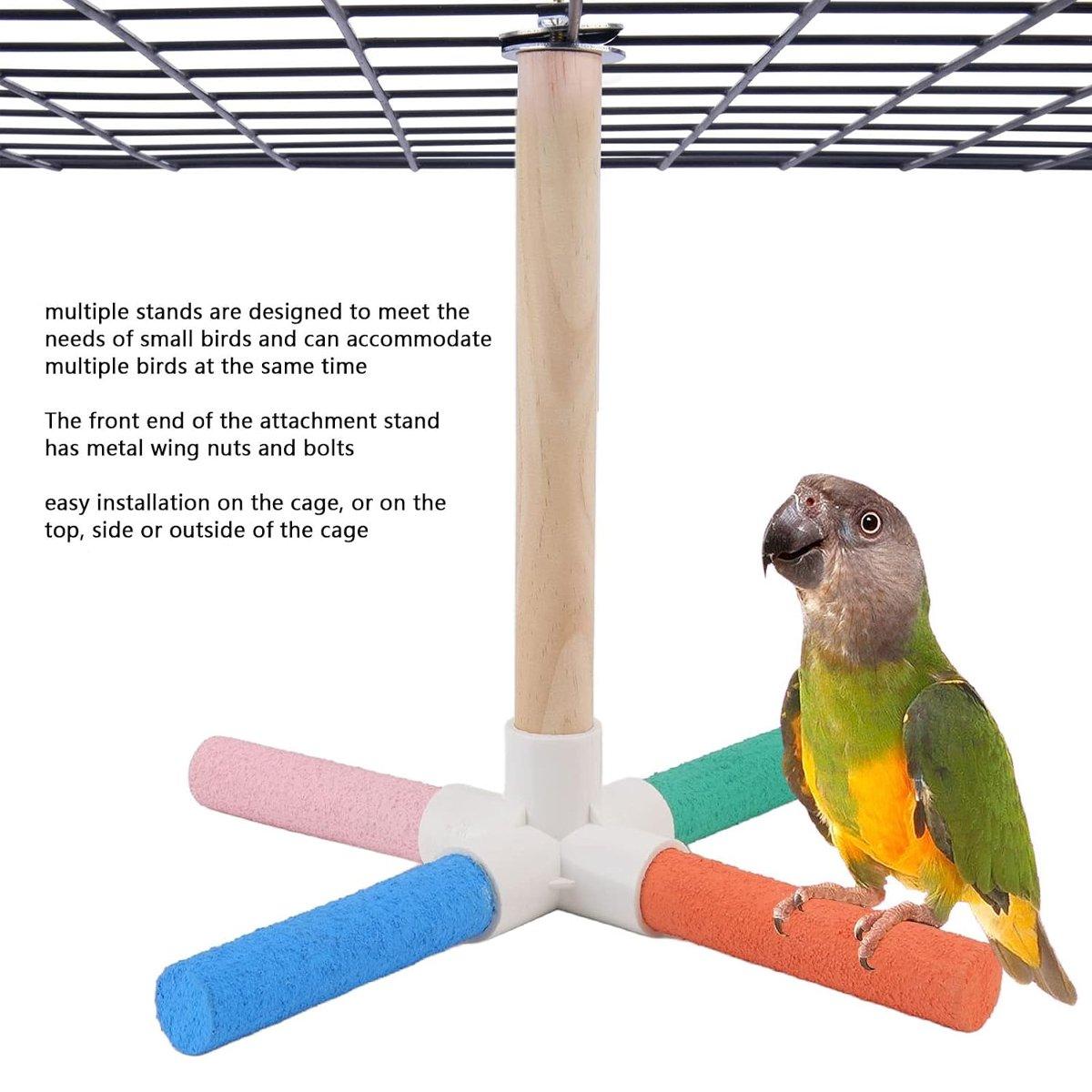 Colourful Parrot Toy Bird Stand for Claw Grinding and Play