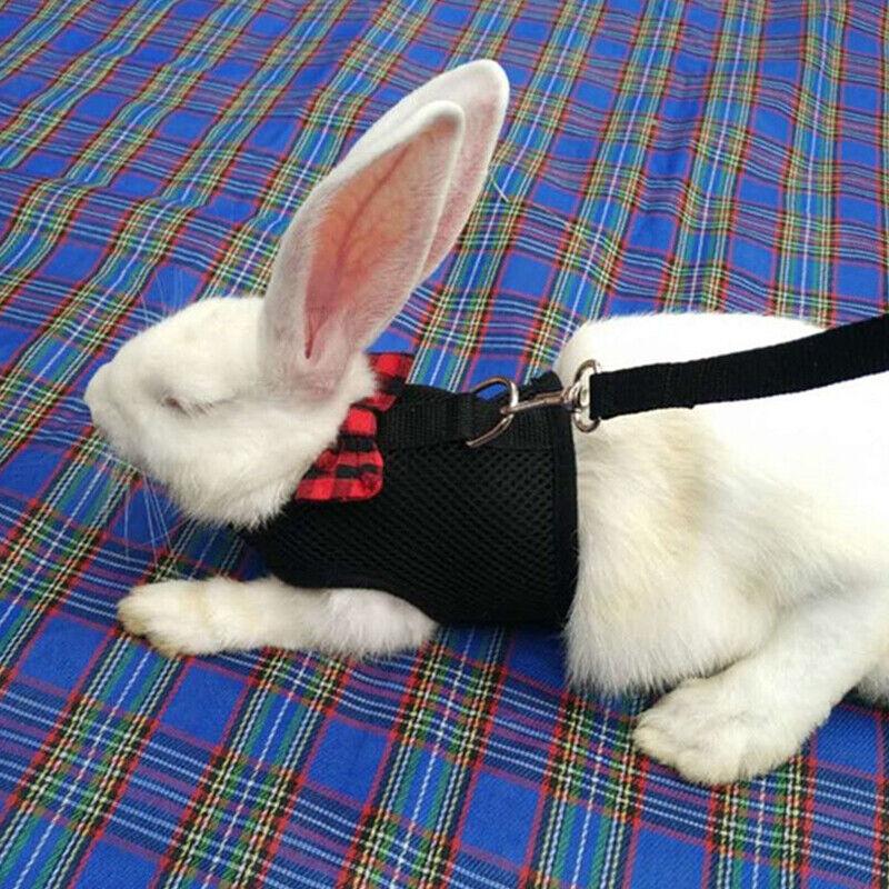 Rabbit Vest Harness Leash Lead Small Animal Pet Mesh Hamster Bunny Traction Rope