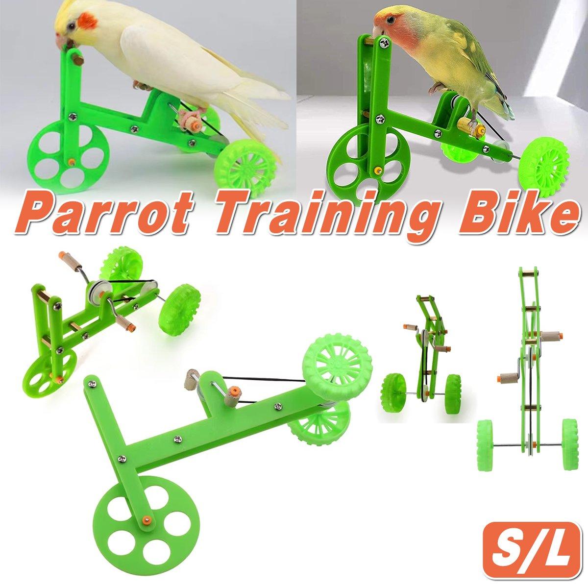 Parrot Training Bicycle Toy for Small & Medium Birds