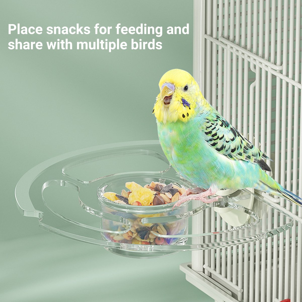 Premium Acrylic Bird Stand Parrot Stand Bird Toys