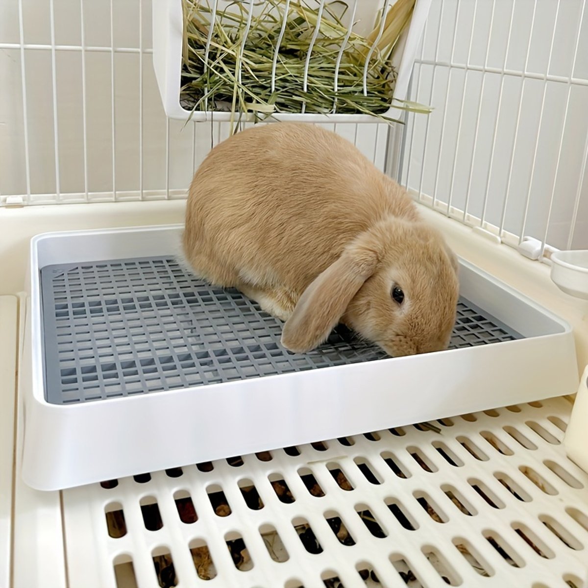 Large Pet Toilet for Rabbits & Guinea Pigs