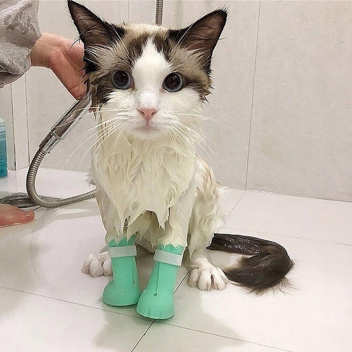 4pcs Cat Bathing Grooming Anti-Scratch Silicone Pet Socks for Bathing Feeding