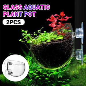 Aquarium Plant Cup for Breeding and Aquascaping Glass Water Plant Holder