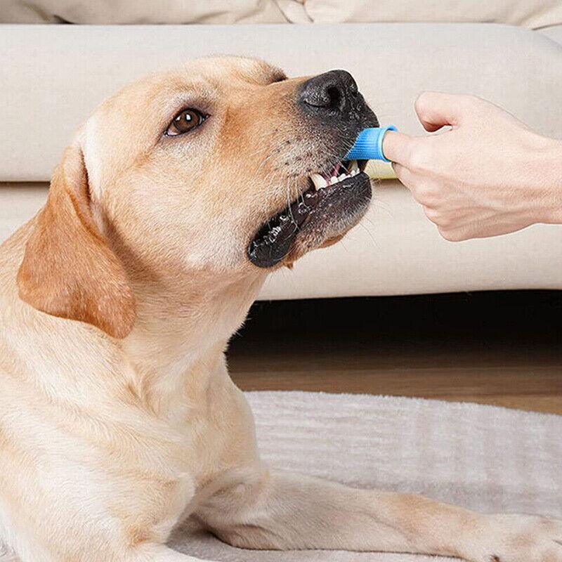 Dog Cat Super Soft Pet Finger Toothbrush Teeth Silicone Brush Care Cleaning