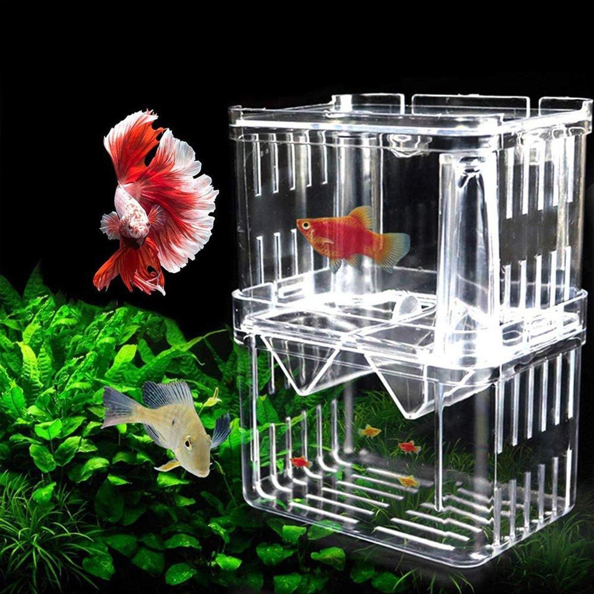 Guppy Breeding Aquarium Fish Tank Hatchery Isolation Breeder Rearing Box