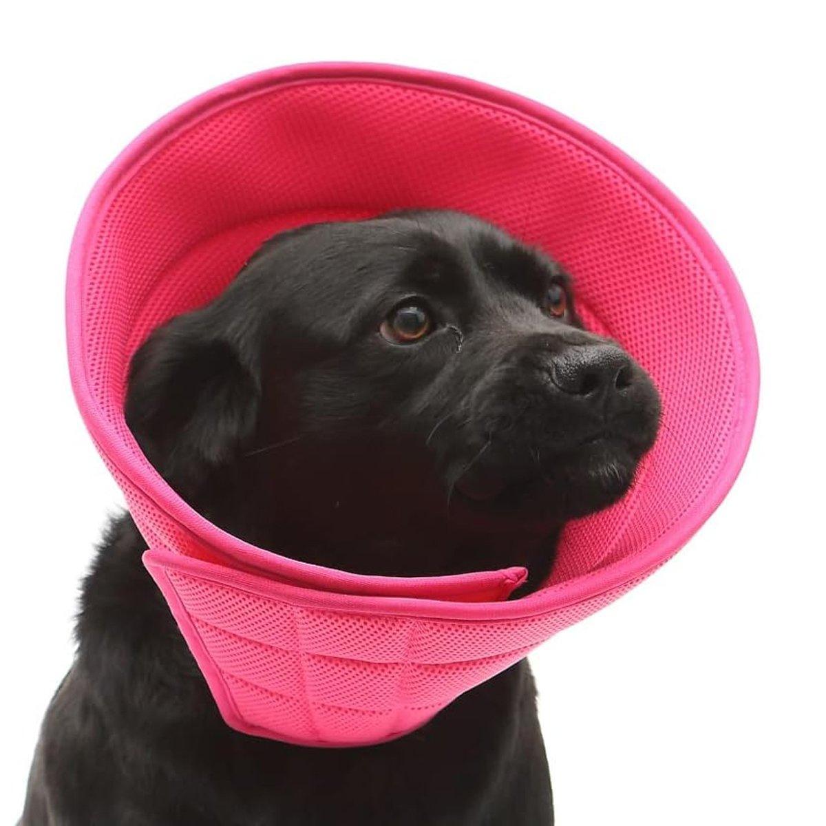 Soft Mesh Elizabeth Collar for Cats & Dogs Comfortable Recovery Protection