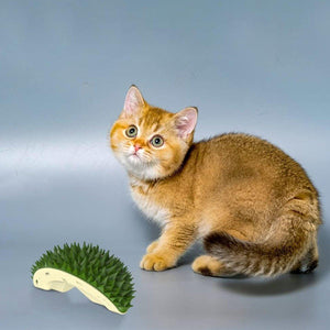 Durian Shape Cat Grooming Comb Tickling & Scratching Tool for Cats & Dogs