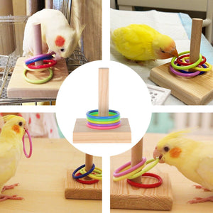 Parrot Chew Toys Interactive Bird Training Rings Set Pet Bird Intelligence Toys