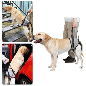 Dog Support Harness for Back Legs  Adjustable Lift Handle Portable (Grey)