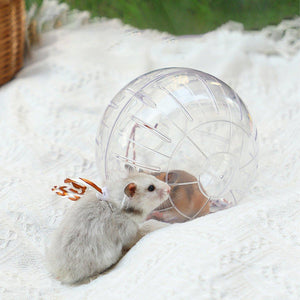 Hamster Running Ball Wheel Exercise Roller Toy Supplies Outside Cage Activity