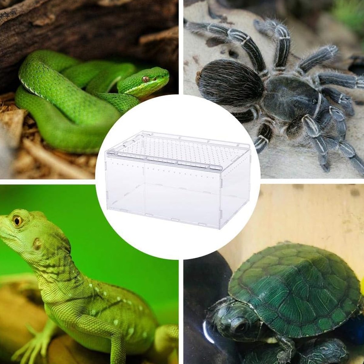 Clear Slide Lid Pet Box Reptile Breeding Habitat Reptile Tank