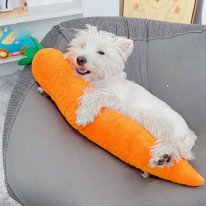 Durable Pet Carrot Toy for Chewing and Play Dog Toy