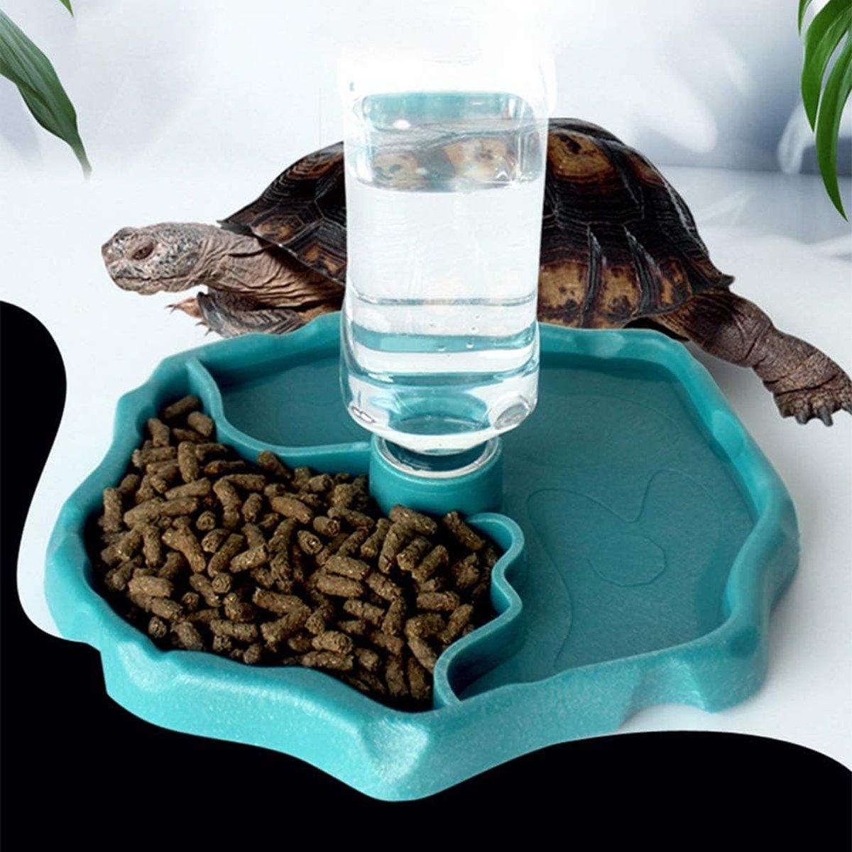 2-in-1 Reptile Feeder & Water Bowl – Dual-Purpose for Small Pets