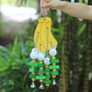 Interactive Colorful Wooden Parrot Toy Set