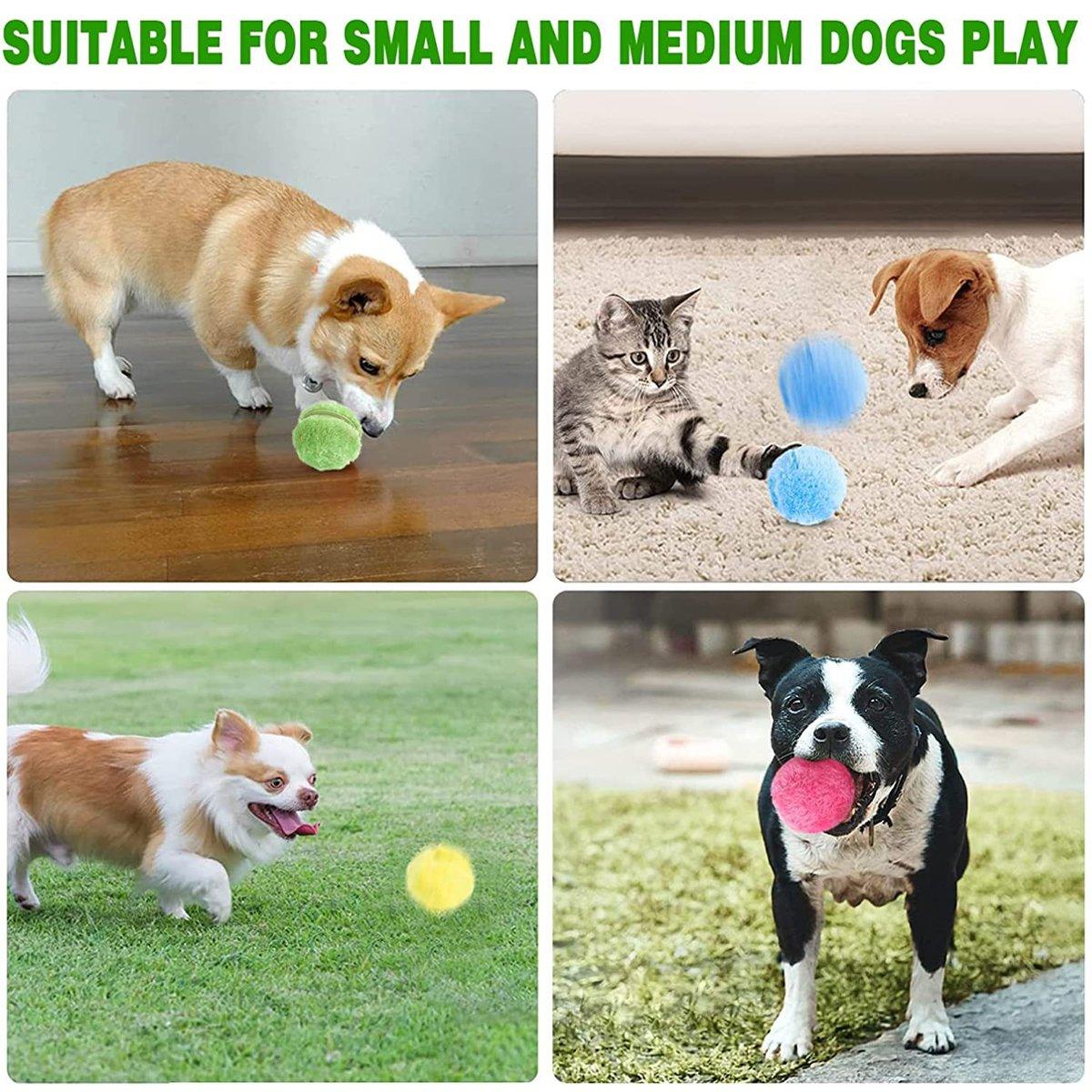 Interactive Pet Magic Roller Ball Toy Keeps Your Pets Engaged