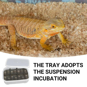 14 Grids Reptile Egg Incubator Secure Hatch Box for Lizards & Turtles