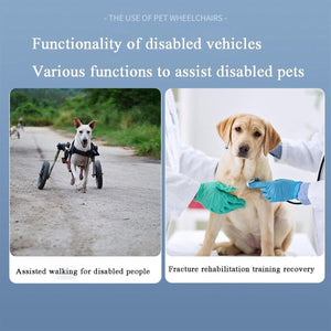 Pet Recovery Leash Assistance Car - Mobility Aid for Disabled Pets