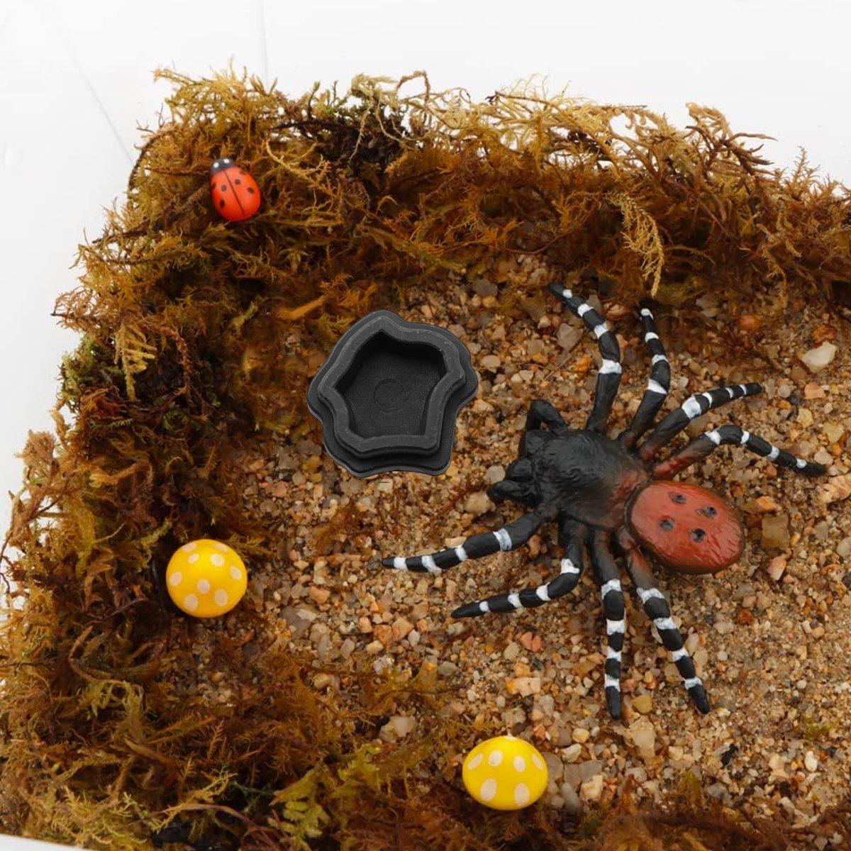 10pcs Reptile Spider Water Basin Resin Bowls Small Pet Feeder Reptile Water Sink