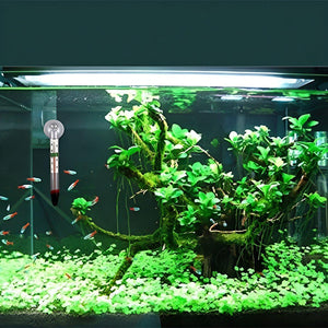 Accurate Fish Tank Thermometer for Optimal Aquatic Environment