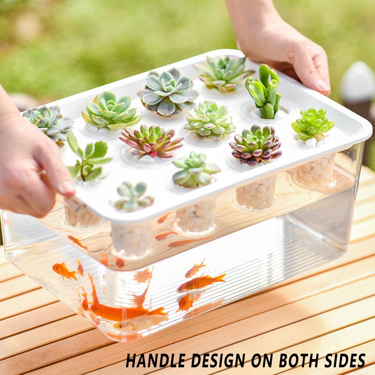 Transparent Rectangular Aquarium 12Hole Lid Portable Hydroponic Plant Fish Tank