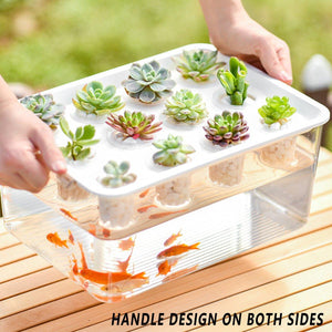 Transparent Rectangular Aquarium 12Hole Lid Portable Hydroponic Plant Fish Tank