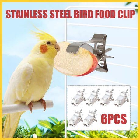 6X Fruit Pet Cage Accessories Bird Food Holders Clip Parrot Feeder Feeding Clamp