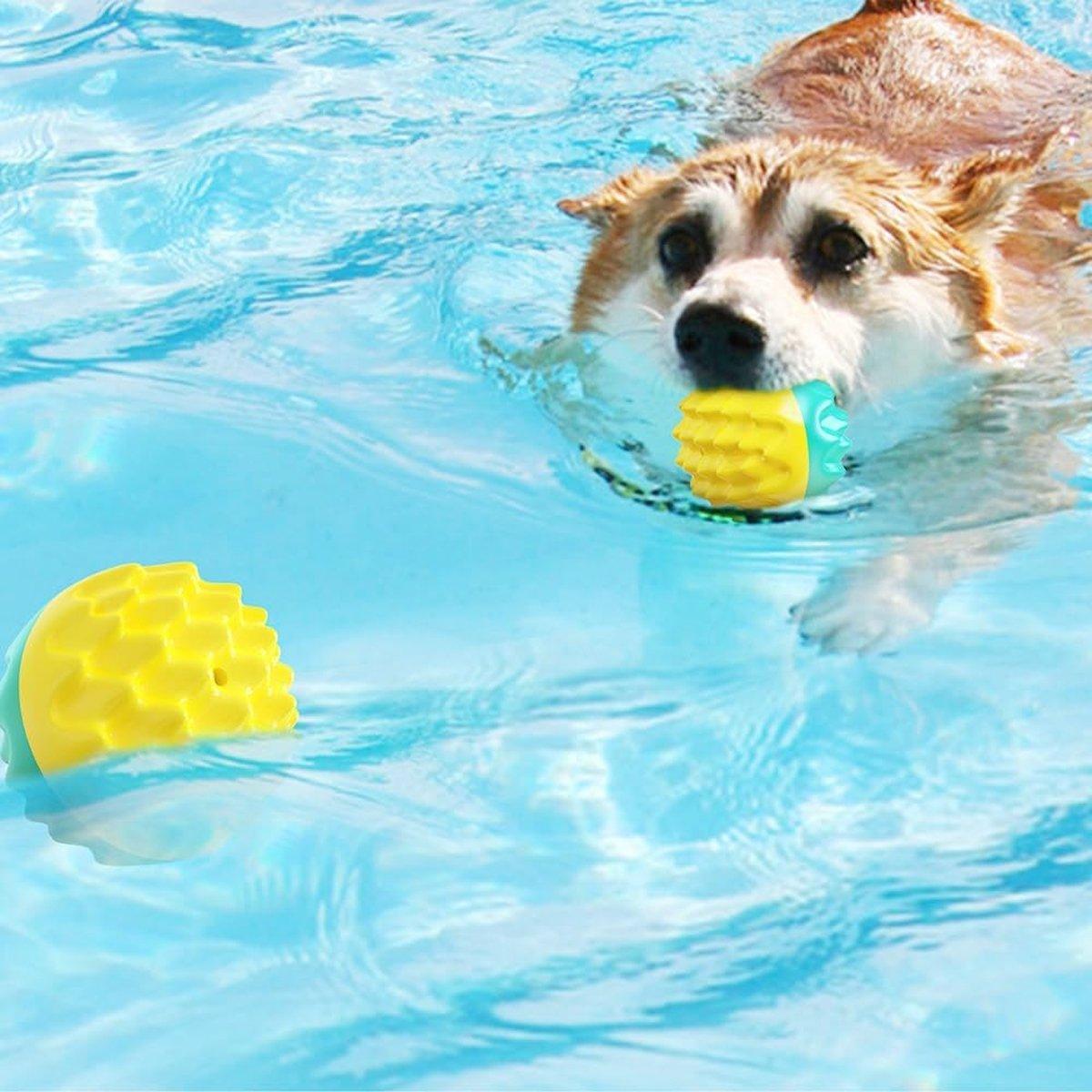 Pet Chew Toy Balls