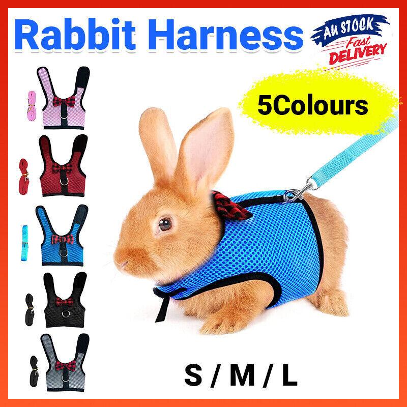 Rabbit Vest Harness Leash Lead Small Animal Pet Mesh Hamster Bunny Traction Rope