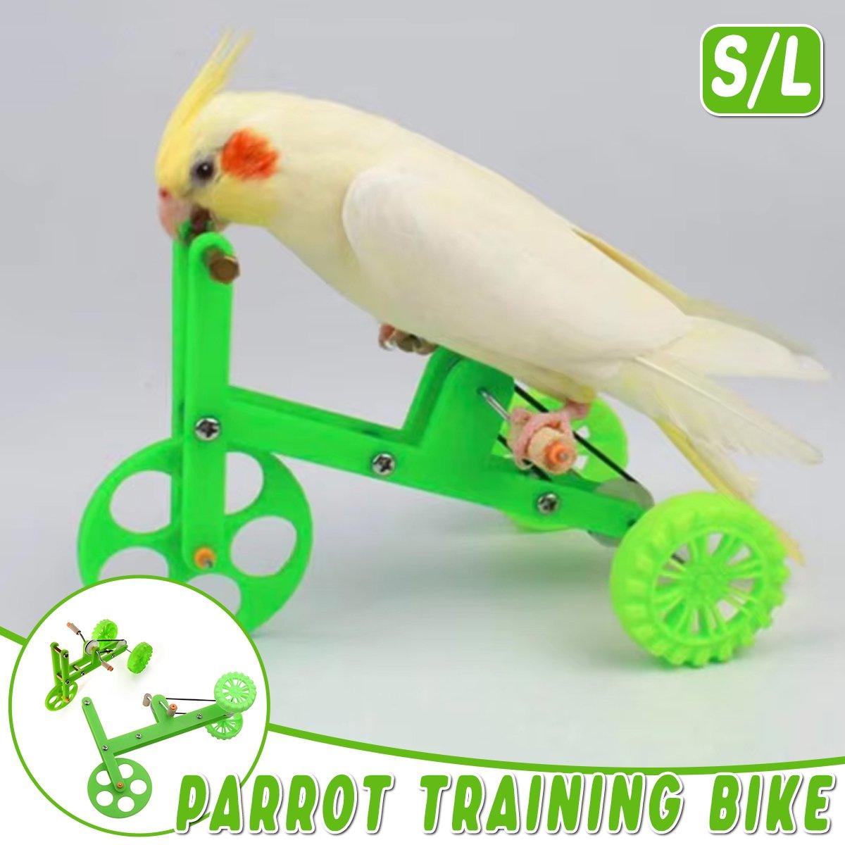 Parrot Training Bicycle Toy for Small & Medium Birds