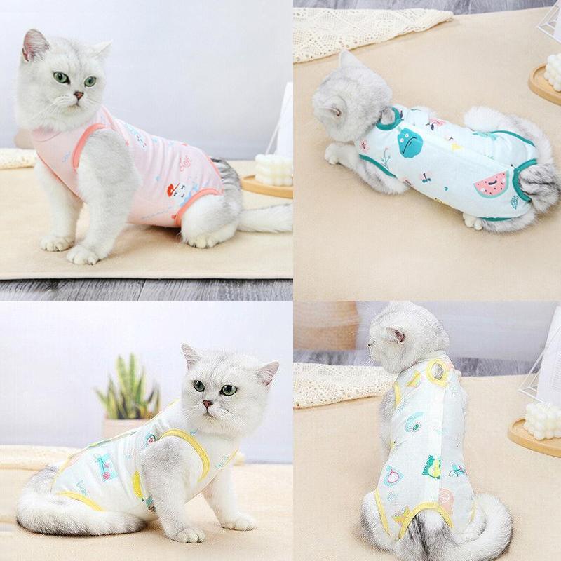 Pet Cat Postoperative Recovery Suit-Surgical Jumper