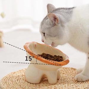 Ceramic Pet Bowl Tilted Design for Neck Protection & Stylish Cartoon Lion