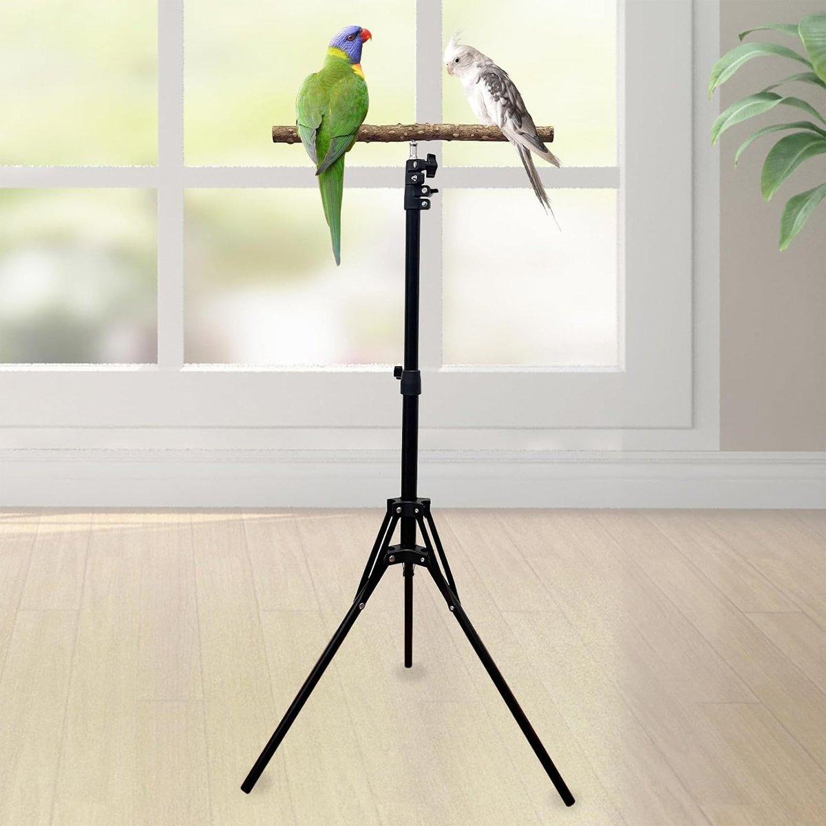 Adjustable Bird Perch Stand Foldable Training & Play Stand for Parrots & Birds