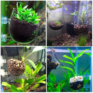 Aquarium Plant Cup for Breeding and Aquascaping Glass Water Plant Holder